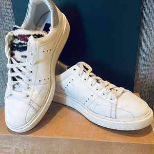 Golden Goose Sneakers -Starter w/Zebra print pony hair tongue